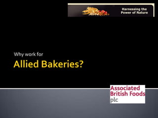 Allied Bakeries? Why work for 