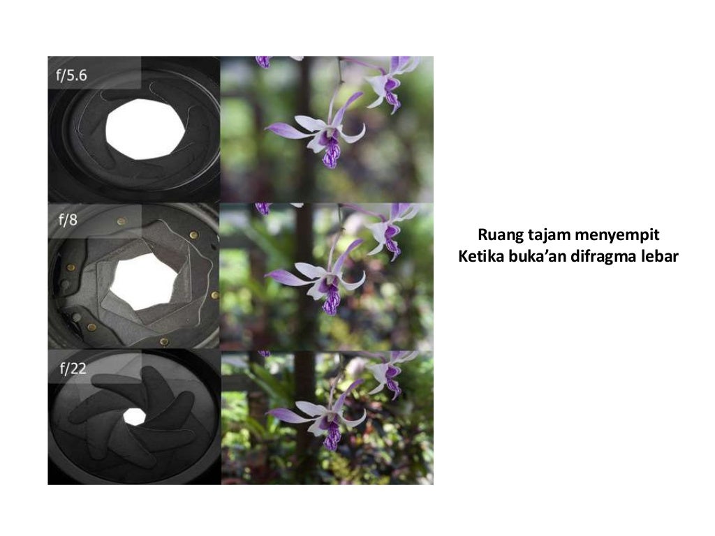 DOF Sempit dan DOF Luas - Fotografi Ilmu Komunikasi Universitas Semar…