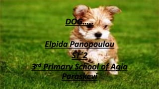ΣΚΥΛΟΣ
DOG…..
Elpida Panopoulou
ST΄2
3rd Primary School of Agia
Paraskevi
 