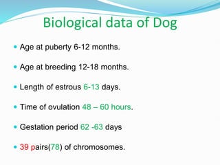 Dog, classification and biologica data 2024 | PDF