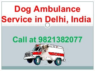 Dog Ambulance
Service in Delhi, India
Call at 9821382077
 