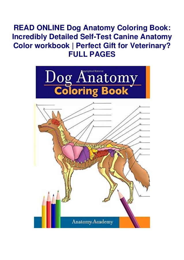 Dog Anatomy Coloring Book: Incredibly Detailed Self-Test Canine Anatomy Color