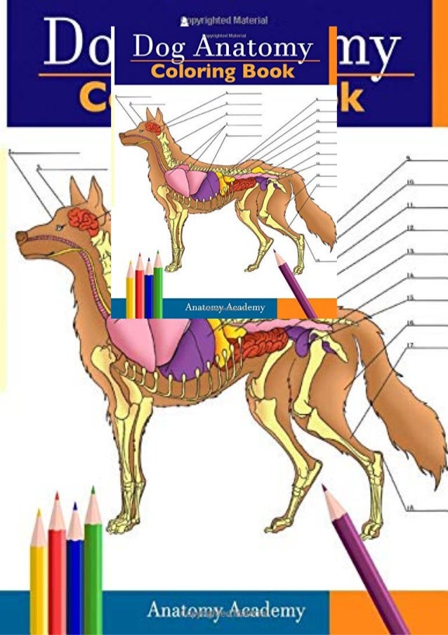 ebook (download) Dog Anatomy Coloring Book Incredibly Detailed