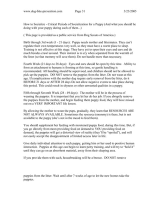 www.dog-bite-prevention.com Page 31 3/23/2005
How to Socialize - Critical Periods of Socialization for a Puppy (And what you should be
doing with your puppy during each of them...)
( This page is provided as a public service from Dog Scouts of America.)
Birth through 3rd week (1 - 21 days): Puppy needs mother and littermates. They can’t
regulate their own temperatures very well, so they must have a warm place to sleep.
Training is not effective at this stage. They have yet to open their eyes and ears and do
much besides crawl around. Their instinct is to cry when separated from the warmth of
the litter (so that mommy will save them). Do not handle more than necessary.
Fourth Week (21 days to 28 days): Eyes and ears should be open by this time. Ability to
form an attachment to humans is forming at this time, so gentle handling is
recommended. All handling should be supervised, and children should not be allowed to
pick up the puppies. DO NOT remove the puppies from the litter. Do not wean at this
age. If complications with the mother dog require early removal from the litter, do it
BEFORE 21 days or AFTER 28 days Do not allow negative events to take place during
this period. This could result in shyness or other unwanted qualities in a puppy.
Fifth through Seventh Week (28 - 49 days): The mother will be in the process of
weaning the puppies. It is important that you let her do her job. If you abruptly remove
the puppies from the mother, and begin feeding them puppy food, they will have missed
out on a VERY IMPORTANT life lesson.
By allowing the mother to wean the pups, gradually, they learn that RESOURCES ARE
NOT ALWAYS AVAILABLE. Sometimes the resource (mommy) is there, but is not
available to the puppy (she’s not in the mood to feed them).
You should supplement her feeding with moistened puppy food, during this time. But, if
you go directly from mom providing food on demand to YOU providing food on
demand, the puppies will get a distorted view of reality (they’ll be “spoiled”), and will
not easily accept the disappointment of limited access later in life.
Give daily individual attention to each puppy, getting him or her used to positive human
interaction. Puppies at this age can begin to learn potty training, and will try to “hold it”
until they can go on an absorbent material, away from their sleeping area.
If you provide them with such, housebreaking will be a breeze. DO NOT remove
puppies from the litter. Wait until after 7 weeks of age to let the new homes take the
puppies.
 