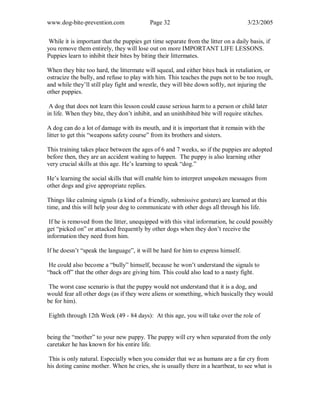 www.dog-bite-prevention.com Page 32 3/23/2005
While it is important that the puppies get time separate from the litter on a daily basis, if
you remove them entirely, they will lose out on more IMPORTANT LIFE LESSONS.
Puppies learn to inhibit their bites by biting their littermates.
When they bite too hard, the littermate will squeal, and either bites back in retaliation, or
ostracize the bully, and refuse to play with him. This teaches the pups not to be too rough,
and while they’ll still play fight and wrestle, they will bite down softly, not injuring the
other puppies.
A dog that does not learn this lesson could cause serious harm to a person or child later
in life. When they bite, they don’t inhibit, and an uninhibited bite will require stitches.
A dog can do a lot of damage with its mouth, and it is important that it remain with the
litter to get this “weapons safety course” from its brothers and sisters.
This training takes place between the ages of 6 and 7 weeks, so if the puppies are adopted
before then, they are an accident waiting to happen. The puppy is also learning other
very crucial skills at this age. He’s learning to speak “dog.”
He’s learning the social skills that will enable him to interpret unspoken messages from
other dogs and give appropriate replies.
Things like calming signals (a kind of a friendly, submissive gesture) are learned at this
time, and this will help your dog to communicate with other dogs all through his life.
If he is removed from the litter, unequipped with this vital information, he could possibly
get “picked on” or attacked frequently by other dogs when they don’t receive the
information they need from him.
If he doesn’t “speak the language”, it will be hard for him to express himself.
He could also become a “bully” himself, because he won’t understand the signals to
“back off” that the other dogs are giving him. This could also lead to a nasty fight.
The worst case scenario is that the puppy would not understand that it is a dog, and
would fear all other dogs (as if they were aliens or something, which basically they would
be for him).
Eighth through 12th Week (49 - 84 days): At this age, you will take over the role of
being the “mother” to your new puppy. The puppy will cry when separated from the only
caretaker he has known for his entire life.
This is only natural. Especially when you consider that we as humans are a far cry from
his doting canine mother. When he cries, she is usually there in a heartbeat, to see what is
 