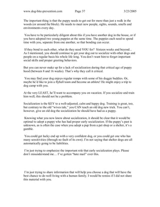 www.dog-bite-prevention.com Page 37 3/23/2005
The important thing is that the puppy needs to get out for more than just a walk in the
woods (or around the block). He needs to meet new people, sights, sounds, smells and
environments every day.
You have to be particularly diligent about this if you have another dog in the house, or if
you have adopted two young puppies at the same time. The puppies each need to spend
time with you, separate from one another, so that bonding can occur.
If they bond to each other, what do they need YOU for? Sixteen weeks and beyond...
As I mentioned, you should continue to get your dog out to socialize with other dogs and
people on a regular basis his whole life long. You don’t want him to forget important
social skills and proper greeting behaviors.
But you can never make up for a lack of socialization during that critical age of puppy
hood (between 8 and 16 weeks). That’s why they call it critical.
You may find your dog enjoys regular romps with some of his doggie buddies. Or,
maybe he’d like to join a flyball team and become an athlete! He might enjoy a trip to
dog camp with you.
At the very LEAST, he’ll want to accompany you on vacation. If you socialize and train
him well, this should not be a problem.
Socialization is the KEY to a well-adjusted, calm and happy dog. Training is great, too,
but contrary to the old “wives tale,” you CAN teach an old dog new trick. You can’t,
however, give an old dog the socialization he should have had as a puppy.
Knowing what you now know about socialization, it should be clear that it would be
optimal to adopt a puppy who has had proper early socialization. If the puppy’s past is
unknown, as is often the case when you adopt a pup from a pet shop or a shelter, it’s a
gamble.
You could get lucky end up with a very confident dog, or you could get one who has
many sensitivities (through no fault of its own). I’m not saying that shelter dogs are all
automatically going to be liabilities.
I’m just trying to emphasize the important role that early socialization plays. Please
don’t misunderstand me… I’ve gotten “hate mail” over this.
I’m just trying to share information that will help you choose a dog that will have the
best chance to do well living with a human family. I would be remiss if I did not share
this material with you.
 