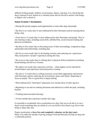 www.dog-bite-prevention.com Page 41 3/23/2005
different looking people, children, environments, objects, and dogs. It is critical that the
dog is exposed to new stimuli on a voluntary basis and not forced to interact with beings
or objects s/he is afraid of.
4week-16 weeks = Socialization
• During this period, puppies need opportunities to meet other dogs and people.
• By four to six weeks they’re most influenced by their littermates and are learning about
being a dog.
• From four to 12 weeks they’re most influenced by their littermates and people. They’re
also learning to play, including social skills, inhibited bite, social structure/ranking and
physical coordination.
• By three to five weeks they’re becoming aware of their surroundings, companions (dogs
and people) and relationships, including play.
• By five to seven weeks they’re developing curiosity and exploring new experiences.
They need positive "people" experiences during this time.
• By seven to nine weeks they’re refining they’re physical skills/coordination (including
housetraining) and full use of senses.
• By eight to ten weeks they experience real fear -- when puppies can be alarmed by
normal objects and experiences and need positive training.
• By nine to 12 weeks they’re refining reactions, social skills (appropriate interactions)
with littermates and are exploring the environment, spaces and objects. Beginning to
focus on people. This is a good time to begin training.
• Most influenced by "littermates" (playmates now include those of other species).
• Beginning to see and use ranking (dominant and submissive) within the pack, including
humans.
• Teething (and associated chewing).
• At four months they experience another fear stage.
It is possible to accidentally force socialization on a dog. One way to do this is to cue a
dog to touch something they are afraid of, or to use food to force them to go close to the
being or object they fear.
Proper socialization is force free and completely voluntary on the dog’s part.
Many of us make the mistake of giving strangers food and basically forcing our dogs into
a vulnerable position.
 