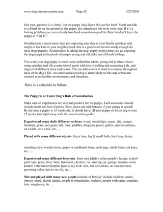 www.dog-bite-prevention.com Page 42 3/23/2005
Just wait, patience is a virtue. Let the puppy /dog figure this out for itself. Stand and talk
to a friend sit on the ground let the puppy just experience this in its own time. If it’s a
footing problem you can certainly toss food around on top of the floor but don’t force the
puppy to “Get IT”.
Socialization is much more than just exposing your dog to your family and dogs and
maybe a few kids in your neighborhood, this is a good start but not nearly enough for
most dogs/puppies. Socialization is taking the dog/ puppy everywhere you go exposing
the dog/puppy to hundreds of people young and old alike and all kinds of dogs.
You want your dog/puppy to meet many unfamiliar adults, young old in wheel chairs
using crutches real life events school yards with lots of yelling and screaming kids, and
dogs of all different sizes and colors. This socialization will need to continue throughout
most of the dog’s life. An under-socialized dog is more likely to bite and or become
stressed in unfamiliar environments and situations.
Here is a schedule to follow.
The Puppy’s/ or Foster Dog’s Rule of Socialization
Make sure all experiences are safe and positive for the puppy. Each encounter should
include treats and lots of praise. Slow down and add distance if your puppy is scared!
By the time a puppy is 12 weeks old, it should have: (If your puppy or foster dog is over
12 weeks start right away with this socialization guide.)
Experienced many daily different surfaces: wood, woodchips, carpet, tile, cement,
linoleum, grass, wet grass, dirt, mud, puddles, deep pea gravel, grates, uneven surfaces,
on a table, on a chair, etc......
Played with many different objects: fuzzy toys, big & small balls, hard toys, funny
sounding toys, wooden items, paper or cardboard items, milk jugs, metal items, car keys,
etc.......
Experienced many different locations: front yard (daily), other people’s homes, school
yard, lake, pond, river, boat, basement, elevator, car, moving car, garage, laundry room,
kennel, veterinarian hospital (just to say hi & visit, lots of cookies, no vaccinations),
grooming salon (just to say hi), etc....
Met and played with many new people (outside of family): include children, adults
(mostly men), elderly adults, people in wheelchairs, walkers, people with canes, crutches,
hats, sunglasses, etc….
 