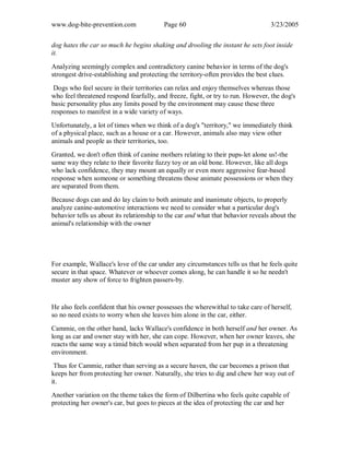 www.dog-bite-prevention.com Page 60 3/23/2005
dog hates the car so much he begins shaking and drooling the instant he sets foot inside
it.
Analyzing seemingly complex and contradictory canine behavior in terms of the dog's
strongest drive-establishing and protecting the territory-often provides the best clues.
Dogs who feel secure in their territories can relax and enjoy themselves whereas those
who feel threatened respond fearfully, and freeze, fight, or try to run. However, the dog's
basic personality plus any limits posed by the environment may cause these three
responses to manifest in a wide variety of ways.
Unfortunately, a lot of times when we think of a dog's "territory," we immediately think
of a physical place, such as a house or a car. However, animals also may view other
animals and people as their territories, too.
Granted, we don't often think of canine mothers relating to their pups-let alone us!-the
same way they relate to their favorite fuzzy toy or an old bone. However, like all dogs
who lack confidence, they may mount an equally or even more aggressive fear-based
response when someone or something threatens those animate possessions or when they
are separated from them.
Because dogs can and do lay claim to both animate and inanimate objects, to properly
analyze canine-automotive interactions we need to consider what a particular dog's
behavior tells us about its relationship to the car and what that behavior reveals about the
animal's relationship with the owner
For example, Wallace's love of the car under any circumstances tells us that he feels quite
secure in that space. Whatever or whoever comes along, he can handle it so he needn't
muster any show of force to frighten passers-by.
He also feels confident that his owner possesses the wherewithal to take care of herself,
so no need exists to worry when she leaves him alone in the car, either.
Cammie, on the other hand, lacks Wallace's confidence in both herself and her owner. As
long as car and owner stay with her, she can cope. However, when her owner leaves, she
reacts the same way a timid bitch would when separated from her pup in a threatening
environment.
Thus for Cammie, rather than serving as a secure haven, the car becomes a prison that
keeps her from protecting her owner. Naturally, she tries to dig and chew her way out of
it.
Another variation on the theme takes the form of Dilbertina who feels quite capable of
protecting her owner's car, but goes to pieces at the idea of protecting the car and her
 