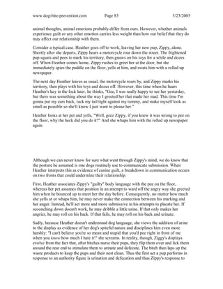www.dog-bite-prevention.com Page 83 3/23/2005
animal thoughts, animal emotions probably differ from ours. However, whether animals
experience guilt or any other emotion carries less weight than how our belief that they do
may affect our relationship with them.
Consider a typical case. Heather goes off to work, leaving her new pup, Zippy, alone.
Shortly after she departs, Zippy hears a motorcycle roar down the street. The frightened
pup squats and pees to mark his territory, then gnaws on his toys for a while and dozes
off. When Heather comes home, Zippy rushes to greet her at the door, but she
immediately spies the puddle on the floor, yells at him, and swats him with a rolled up
newspaper.
The next day Heather leaves as usual, the motorcycle roars by, and Zippy marks his
territory, then plays with his toys and dozes off. However, this time when he hears
Heather's key in the lock later, he thinks, "Gee, I was really happy to see her yesterday,
but there was something about the way I greeted her that made her mad. This time I'm
gonna put my ears back, tuck my tail tight against my tummy, and make myself look as
small as possible so she'll know I just want to please her."
Heather looks at her pet and yells, "Well, geez Zippy, if you knew it was wrong to pee on
the floor, why the heck did you do it?" And she whaps him with the rolled up newspaper
again.
Although we can never know for sure what went through Zippy's mind, we do know that
the posture he assumed is one dogs routinely use to communicate submission. When
Heather interprets this as evidence of canine guilt, a breakdown in communication occurs
on two fronts that could undermine their relationship.
First, Heather associates Zippy's "guilty" body language with the pee on the floor,
whereas her pet assumes that position in an attempt to ward off the angry way she greeted
him when he bounced up to meet her the day before. Consequently, no matter how much
she yells at or whaps him, he may never make the connection between his marking and
her anger. Instead, he'll act more and more submissive in his attempts to placate her. If
scoonching down doesn't work, he may dribble a little urine. If that only makes her
angrier, he may roll on his back. If that fails, he may roll on his back and urinate.
Sadly, because Heather doesn't understand dog language, she views the addition of urine
to the display as evidence of her dog's spiteful nature and disciplines him even more
harshly: "I can't believe you're so mean and stupid that you'd pee right in front of me
when you know how much I hate it!" she screams. In reality, though, Ziggy's displays
evolve from the fact that, after bitches nurse their pups, they flip them over and lick them
around the rear end to stimulate them to urinate and defecate. The bitch then laps up the
waste products to keep the pups and their nest clean. Thus the first act a pup performs in
response to an authority figure is urination and defecation and thus Zippy's response to
 