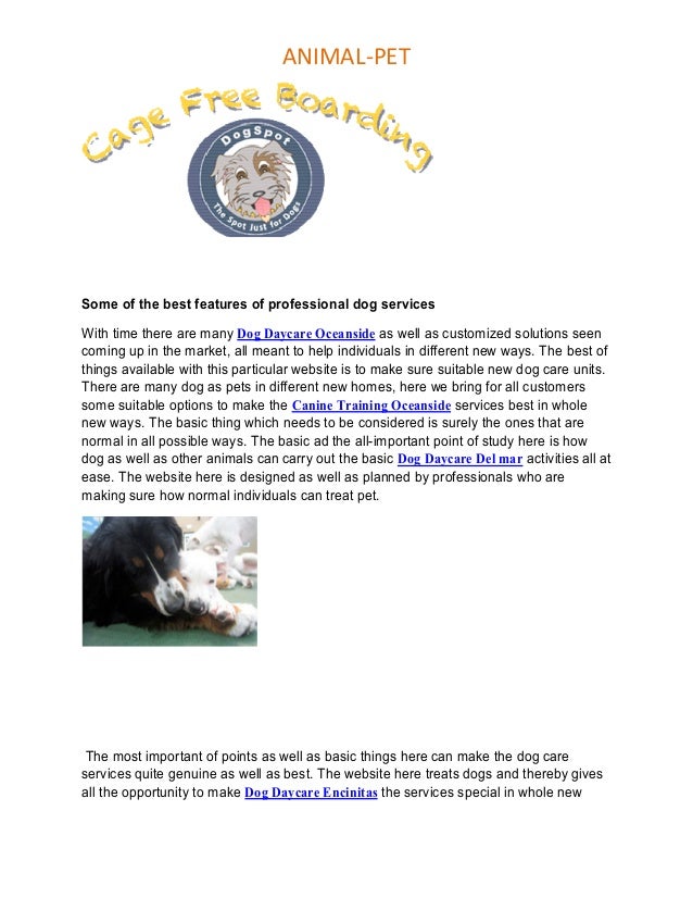 Dog boarding san marcos