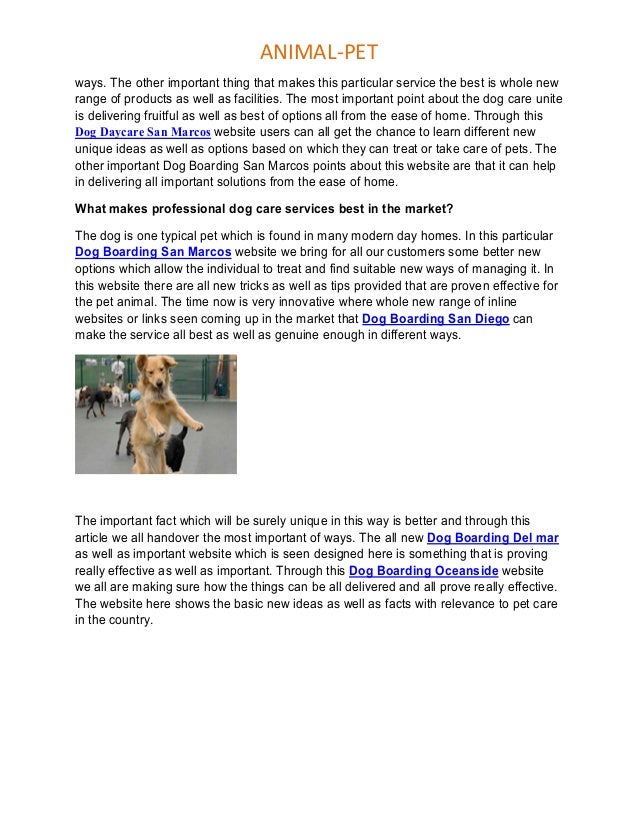 Dog boarding san marcos