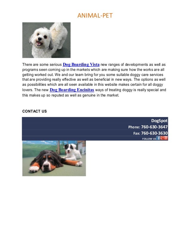 Dog boarding san marcos