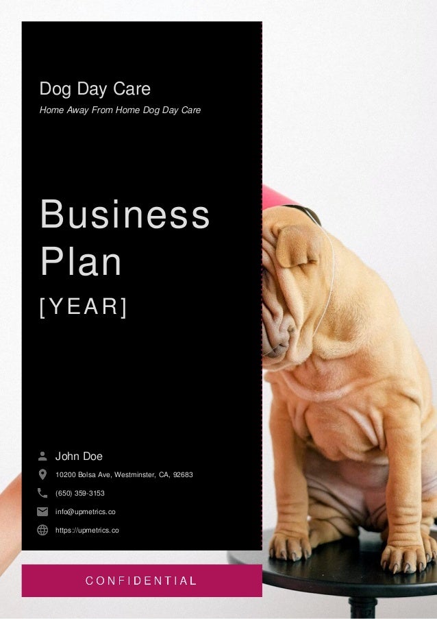 Dog Daycare Business Plan Example
