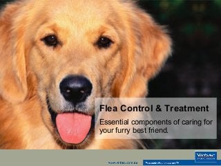 Flea Control & Treatment 
Essential components of caring for 
your furry best friend. 
 