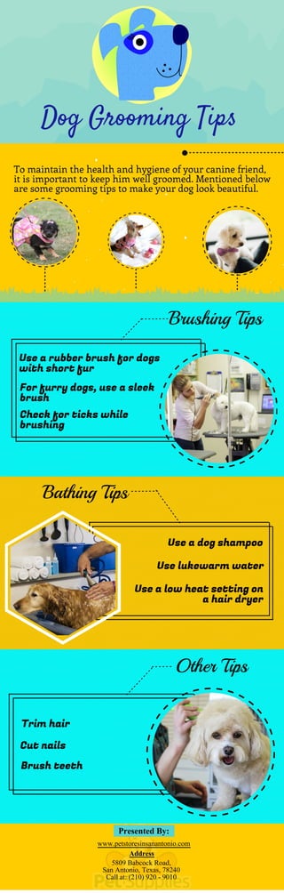 Dog Grooming Tips
To maintain the health and hygiene of your canine friend,
it is important to keep him well groomed. Mentioned below
are some grooming tips to make your dog look beautiful.
Brushing Tips
Use a rubber brush for dogs
with short fur
For furry dogs, use a sleek
brush
Check for ticks while
brushing
Sources:
http://www.apa.org/helpcenter/stress.aspx
Bathing Tips
Use a dog shampoo
Use lukewarm water
Use a low heat setting on
a hair dryer
Other Tips
Trim hair
Cut nails
Brush teeth
5809 Babcock Road,
San Antonio, Texas, 78240
Address
Call at: (210) 920 - 9010
Presented By:
www.petstoresinsanantonio.com
 