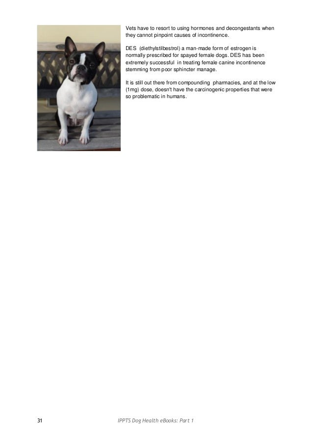 diethylstilbestrol for dogs dotinter diethylstilbestrol for dogs dotinter