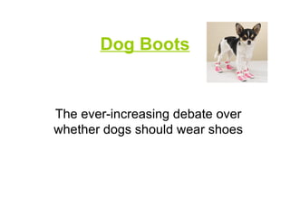 Dog Boots The ever-increasing debate over whether dogs should wear shoes 