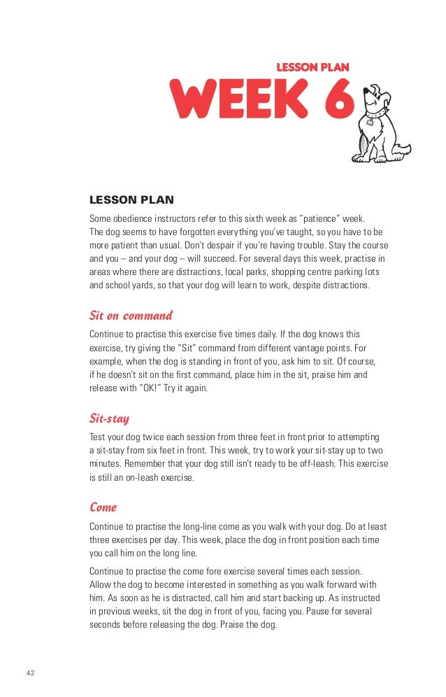 exercise session plan template