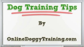 Step By Step Dog Training Tips