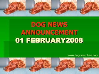 DOG NEWS ANNOUNCEMENT 01 FEBRUARY2008 www.dogcareschool.com 