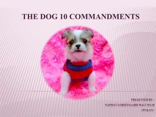 PRESENTEDBY :
NAPHATLORJITSAARDM.6/2 NO.10
<PUKAN>
THE DOG 10 COMMANDMENTS
 