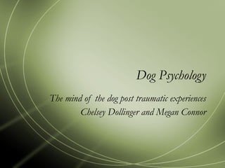 Dog Psychology The mind of the dog post traumatic experiences Chelsey Dollinger and Megan Connor 