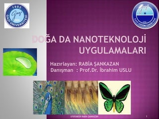 Hazırlayan: RABİA ŞANKAZAN
Danışman : Prof.Dr. İbrahim USLU
070558029 RABİA ŞANKAZAN 1
 