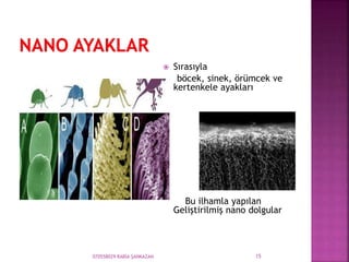  Sırasıyla
böcek, sinek, örümcek ve
kertenkele ayakları
Bu ilhamla yapılan
Geliştirilmiş nano dolgular
070558029 RABİA ŞANKAZAN 15
 