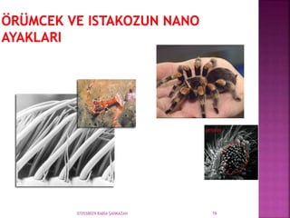 070558029 RABİA ŞANKAZAN 16
 