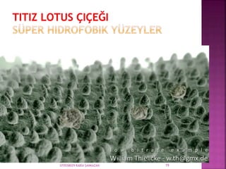 070558029 RABİA ŞANKAZAN 19
 