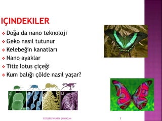 070558029 RABİA ŞANKAZAN 2
 Doğa da nano teknoloji
 Geko nasıl tutunur
 Kelebeğin kanatları
 Nano ayaklar
 Titiz lotus çiçeği
 Kum balığı çölde nasıl yaşar?
 