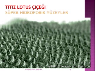 070558029 RABİA ŞANKAZAN 20
 