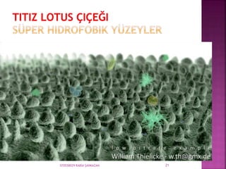 070558029 RABİA ŞANKAZAN 21
 