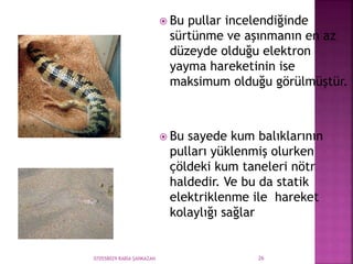 070558029 RABİA ŞANKAZAN 26
 Bu pullar incelendiğinde
sürtünme ve aşınmanın en az
düzeyde olduğu elektron
yayma hareketinin ise
maksimum olduğu görülmüştür.
 Bu sayede kum balıklarının
pulları yüklenmiş olurken
çöldeki kum taneleri nötr
haldedir. Ve bu da statik
elektriklenme ile hareket
kolaylığı sağlar
 