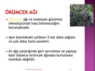  Örümcek ağı ve mukozası günümüz
teknolojisinde hala bilinmezliğini
korumaktadır.
 Aynı kalınlıktaki çelikten 5 kat daha sağlam
ve çok daha fazla esnektir.
 Av ağa çarptığında geri savrulmaz ve yapışıp
kalır böylece örümcek ağından kurtulması
mümkün değildir.
070558029 RABİA ŞANKAZAN 30
 