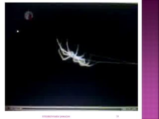 070558029 RABİA ŞANKAZAN 31
 