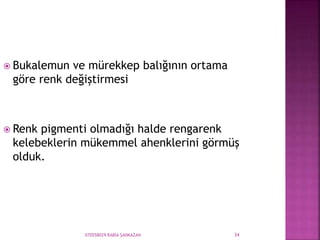 070558029 RABİA ŞANKAZAN 34
 Bukalemun ve mürekkep balığının ortama
göre renk değiştirmesi
 Renk pigmenti olmadığı halde rengarenk
kelebeklerin mükemmel ahenklerini görmüş
olduk.
 