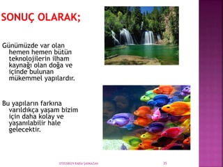 070558029 RABİA ŞANKAZAN 35
Günümüzde var olan
hemen hemen bütün
teknolojilerin ilham
kaynağı olan doğa ve
içinde bulunan
mükemmel yapılardır.
Bu yapıların farkına
varıldıkça yaşam bizim
için daha kolay ve
yaşanılabilir hale
gelecektir.
 