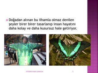  Doğadan alınan bu ilhamla olmaz denilen
şeyler birer birer tasarlanıp insan hayatını
daha kolay ve daha kusursuz hale getiriyor.
070558029 RABİA ŞANKAZAN 5
 