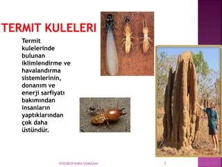070558029 RABİA ŞANKAZAN 7
Termit
kulelerinde
bulunan
iklimlendirme ve
havalandırma
sistemlerinin,
donanım ve
enerji sarfiyatı
bakımından
insanların
yaptıklarından
çok daha
üstündür.
 