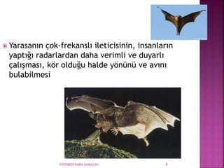070558029 RABİA ŞANKAZAN 8
 Yarasanın çok-frekanslı ileticisinin, insanların
yaptığı radarlardan daha verimli ve duyarlı
çalışması, kör olduğu halde yönünü ve avını
bulabilmesi
 