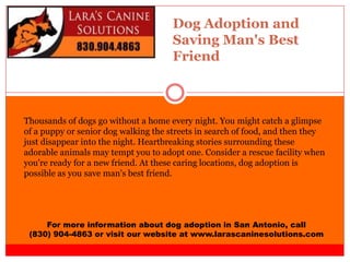 Dog Adoption and
Saving Man's Best
Friend
For more information about dog adoption in San Antonio, call
(830) 904-4863 or visit our website at www.larascaninesolutions.com
Thousands of dogs go without a home every night. You might catch a glimpse
of a puppy or senior dog walking the streets in search of food, and then they
just disappear into the night. Heartbreaking stories surrounding these
adorable animals may tempt you to adopt one. Consider a rescue facility when
you're ready for a new friend. At these caring locations, dog adoption is
possible as you save man's best friend.
 