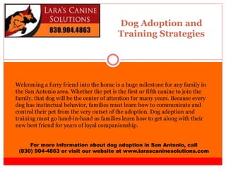Dog Adoption and
Training Strategies
For more information about dog adoption in San Antonio, call
(830) 904-4863 or visit our website at www.larascaninesolutions.com
Welcoming a furry friend into the home is a huge milestone for any family in
the San Antonio area. Whether the pet is the first or fifth canine to join the
family, that dog will be the center of attention for many years. Because every
dog has instinctual behavior, families must learn how to communicate and
control their pet from the very outset of the adoption. Dog adoption and
training must go hand-in-hand as families learn how to get along with their
new best friend for years of loyal companionship.
 