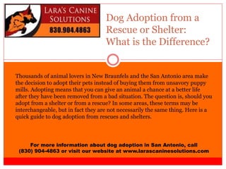 Dog Adoption from a
Rescue or Shelter:
What is the Difference?
For more information about dog adoption in San Antonio, call
(830) 904-4863 or visit our website at www.larascaninesolutions.com
Thousands of animal lovers in New Braunfels and the San Antonio area make
the decision to adopt their pets instead of buying them from unsavory puppy
mills. Adopting means that you can give an animal a chance at a better life
after they have been removed from a bad situation. The question is, should you
adopt from a shelter or from a rescue? In some areas, these terms may be
interchangeable, but in fact they are not necessarily the same thing. Here is a
quick guide to dog adoption from rescues and shelters.
 