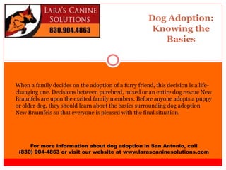 Dog Adoption:
Knowing the
Basics
For more information about dog adoption in San Antonio, call
(830) 904-4863 or visit our website at www.larascaninesolutions.com
When a family decides on the adoption of a furry friend, this decision is a life-
changing one. Decisions between purebred, mixed or an entire dog rescue New
Braunfels are upon the excited family members. Before anyone adopts a puppy
or older dog, they should learn about the basics surrounding dog adoption
New Braunfels so that everyone is pleased with the final situation.
 
