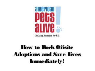 How to Rock Offsite
Adoptions and Save Lives
Immediately!
 