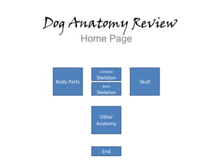 Dog Anatomy Review
              Home Page


                 Complex
                Skeleton
 Body Parts                Skull
                  Basic
                Skeleton



                 Other
                Anatomy




                  End
 