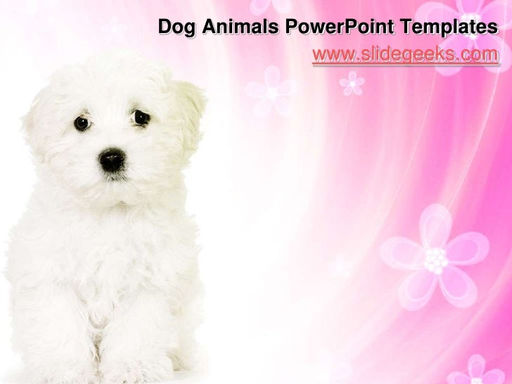 dog animals power point templates dog themed powerpoint template