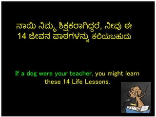 If a dog were your teacher, you might learn
these 14 Life Lessons.
ನಾಯಿ ನಿಮ್ಮ ಶಿಕ್ಷಕರಾಗಿದ್ದರರ , ನಿೀವು ಈ
14 ಜೀವನ ಪಾಠಗಳನನನ ಕ...